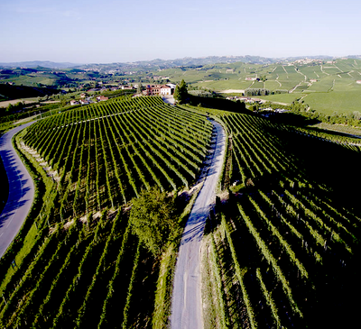 Why is the Barolo Cannubi Cru so important