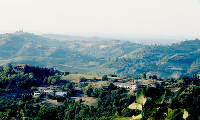 Piemont Weinlese 2015