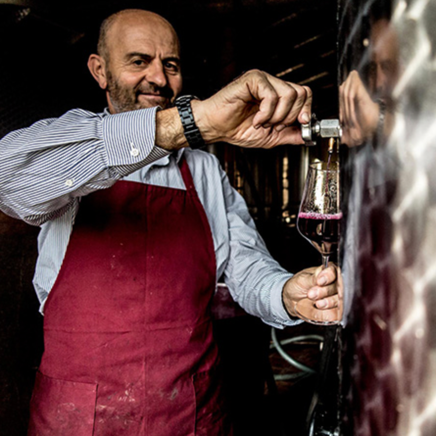 Weingut Pecchenino Barolo kaufen bei Babarolo